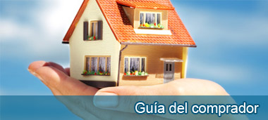 Guia del comprador
